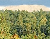 field-of-environmental